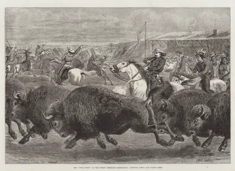 O Velho Oeste na Grande Exposição Americana, caçando cervos Bison e Wapiti